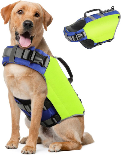Salvagente per cani - salvagente,