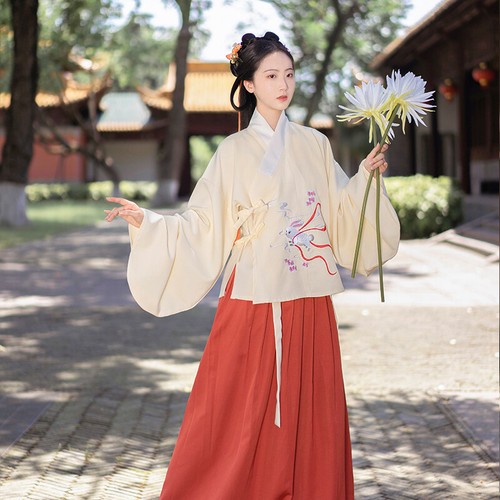 Costume hanfu ricamo vestito - hanfu,