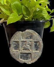 Antico gandhara raro vassoio cosmetico di un leone