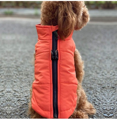 Gilet invernale per - gilet,