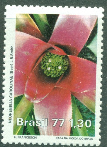 Brazil 1977 plant flower - brazil,