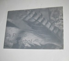 Rare Art Book La Pluma de