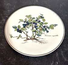 Piastrella da tè 8" Villeroy