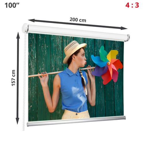 100 schremo per proiettore - 100",