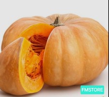 25 semi Zucca Siciliana Dolce