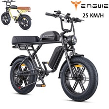 ENGWE M1 250W 48V Bicicletta