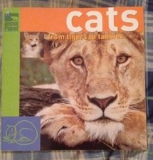 Animal Planet : Cats : From