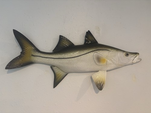 Snook decorazione parete - da,