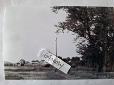 Fotografia Ferrovie Vicentine F.V. Linea Vicenza Noventa Automotrice 026  