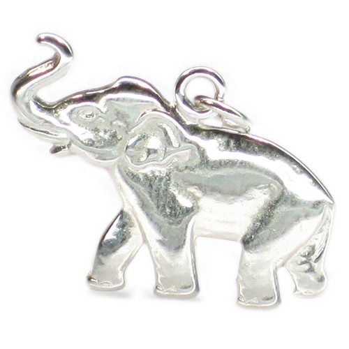 Ciondolo argento sterling - ciondolo,