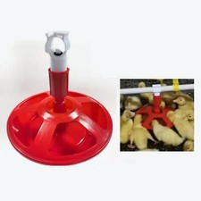 Abbeveratoio per polli