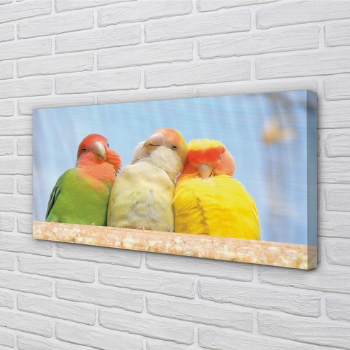 Quadro tela tulup 140x70 - su,