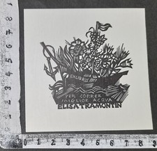 WUNDERKAMMER K EXLIBRIS 753 - " EX VINIS TRAMONTIN " - * HERBERT OTT * - X