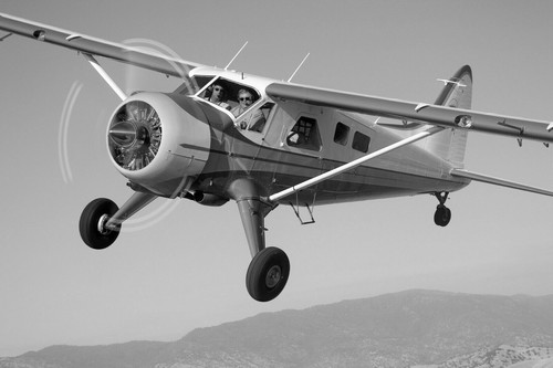 Havilland beaver aereo - havilland,