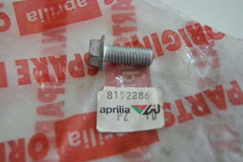 Vite flangiata perno 8x20