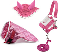 Set Di Accessori Rosa per