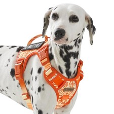Gilet Tattico per Cani