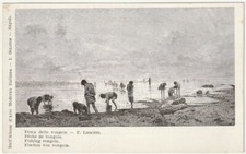 PESCA DELLE VONGOLE - F