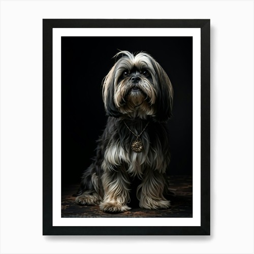 Poster lhasa apso cane - poster,