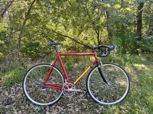 Litespeed ultimate titanium - ultimate,