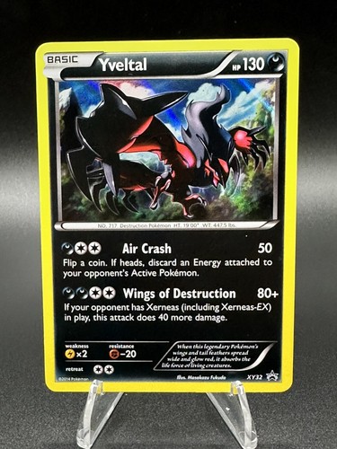 Yveltal xy32 holo quasi - yveltal, xy