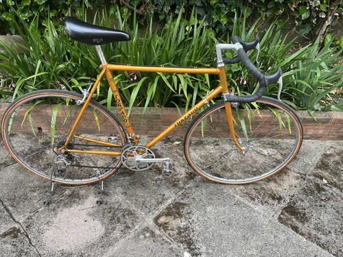 Bici corsa torpado vintage - bici, da