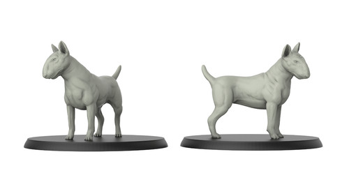 Bull terrier cane - cane, gioco