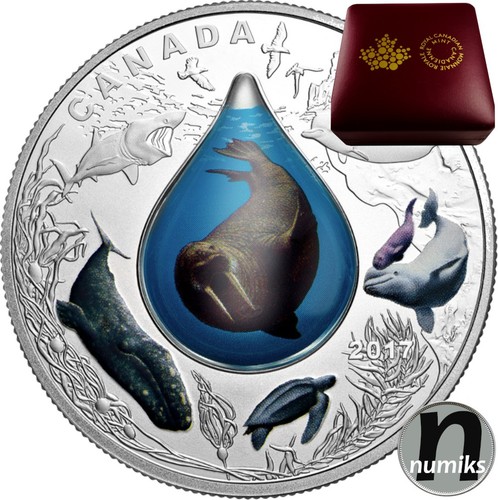 Underwater life canada 2017 - 3d,