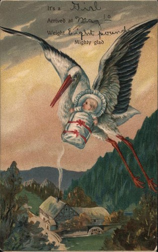 New baby stork - baby, ___