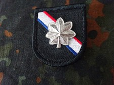 FLASH Tenente Colonnello