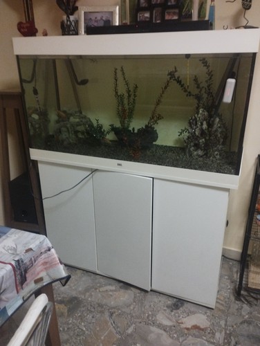 Juwel rio 240 acquario - rio,