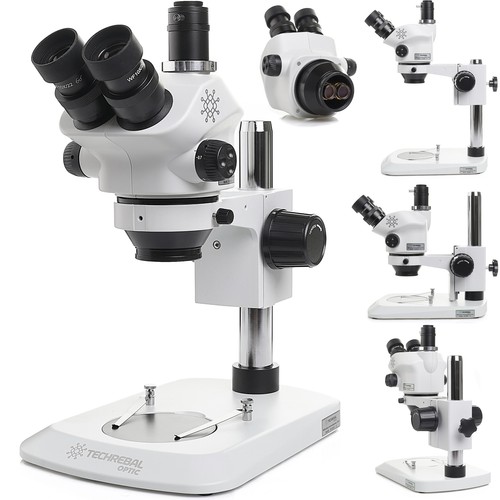 Microscopio stereoscopico