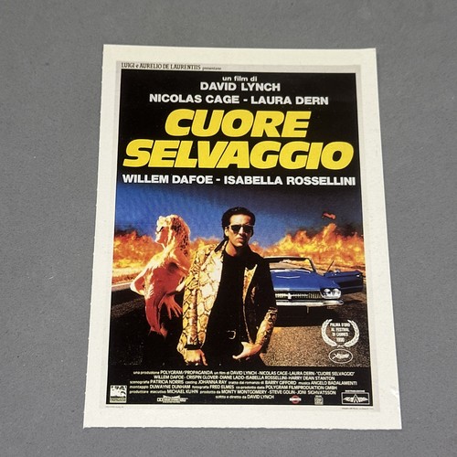 Cuore selvaggio poster - cuore,