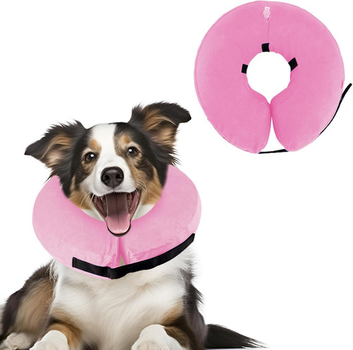 Collare elisabettiano cane - collare,