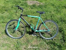 bicicletta Mountain bike