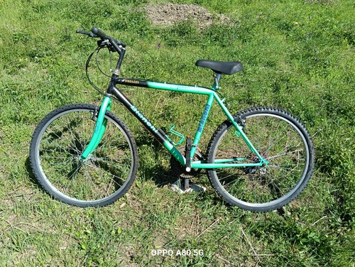 Bicicletta mountain bike - bicicletta,