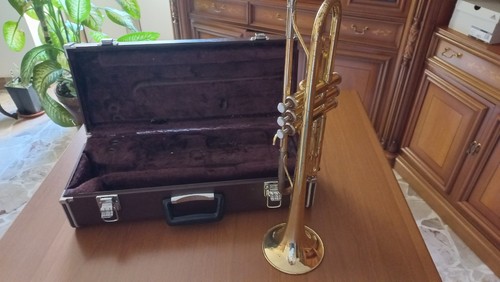 Strumenti musicali usati - strumenti,