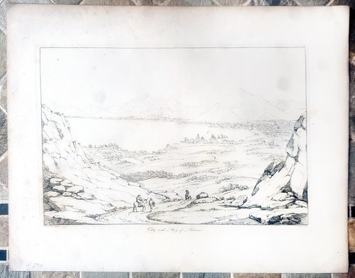 Goldicutt pinelli palermo - goldicutt,