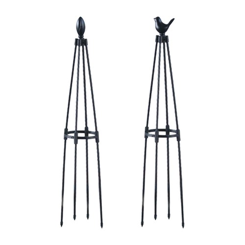 Obelisk trallis robusto