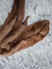 Coppia Pelliccie di Visone