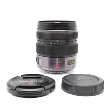 Panasonic LUMIX G X Vario