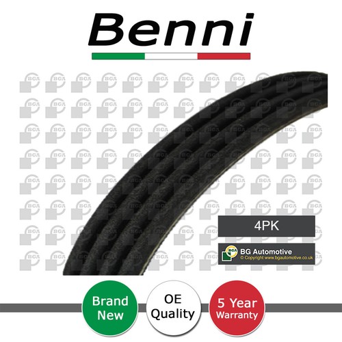 Cinghia alternatore benni - alternatore,