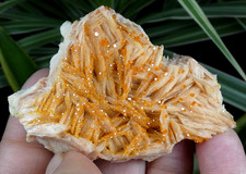 Cristaux Gemme Vanadinite