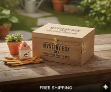 Box Lotto 20 Articoli Vari