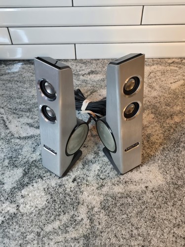 Coppia altoparlanti computer
