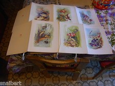 LOTTO DI 6 PORTA MENU' ITALIA  SOCIETA' DI NAVIGAZIONE GENOVA  ALDO RAIMONDI