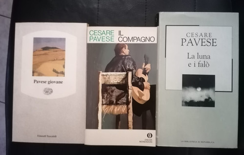 Lotto libri cesare - lotto, pavese