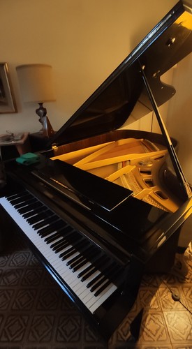 Pianoforte petrof mezza coda - petrof,