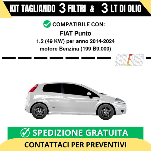 Tagliando per fiat punto - tagliando,