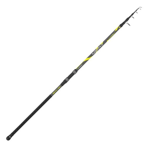 Canna tubertini nexar - nexar, 2